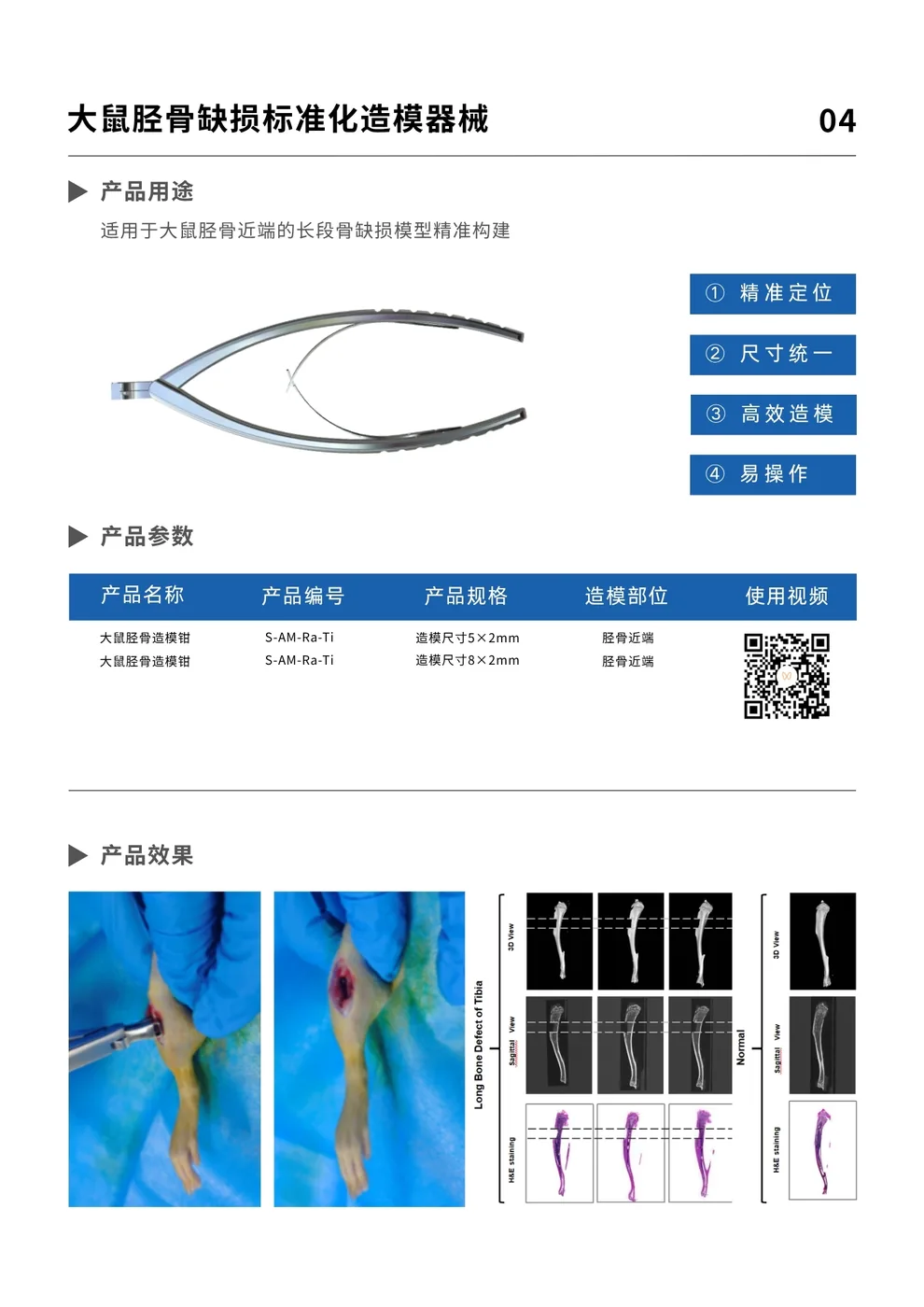 大鼠胫骨长段骨缺损模型完整资料