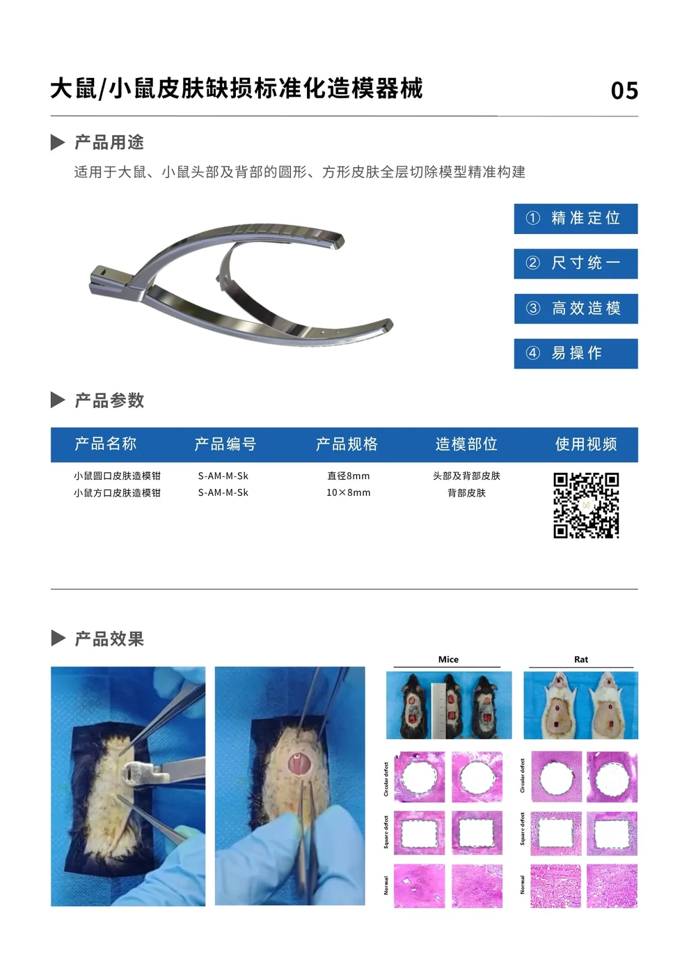 鼠类皮肤缺损模型完整资料